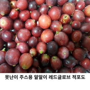 못난이 알알이 수입 거봉 포도 2kg 4kg 레드글로브 적포도 와인 쥬스용 고당도, 1개