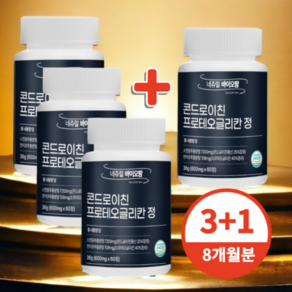 프로테오글리칸 콘드로이친 프리테오글리칸 콘도로이친 600mg, 4개, 60정