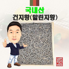 국내산 건지황 100g (경북 영천) 말린지황 지황뿌리, 1개