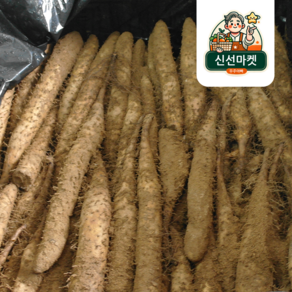 [신선마켓] 안동 마 산마 장마 못난이마 생마 산지직송, 1박스, 산마 못난이 1kg