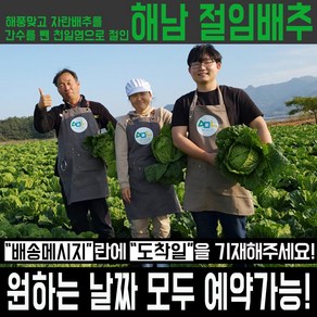 직거래농민장터 해풍맞아 더 맛있는 해남 절임배추 20kg 김장절임배추 절인배추