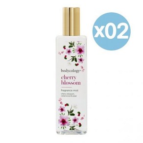 Bodycology 바디콜로지 프레이그런스 바디 미스트 체리 블라섬 237ml 2팩 Fagance Body Mist Chey Blossom, 2개