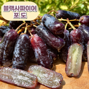 [항공직송] 프리미엄 고당도 블랙사파이어 포도, 1개, 500g 내외