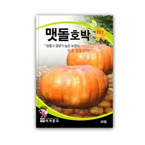 모칸도 세계 맷돌호박 30립