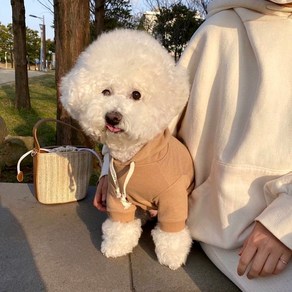 멍팔상팔 무지후드티 강아지후드티 소형견후드티 소형견실내복 강아지실내복 중형견실내복 소형견이너티 중형견후티, 브라운, 1개