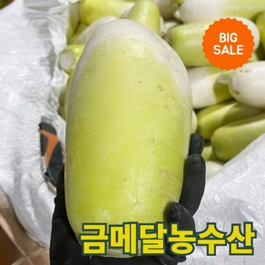 물가안정 금메달농수산 제주도 세척 월동무, 1개, 정품 5kg