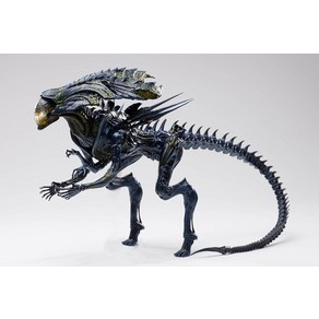 Hiya Toys 절묘한 미니 시리즈 1/18 스케일 12.7cm(5인치) AVP 배틀 데미지 에일리언 퀸 액션 피규어 멀티컬러