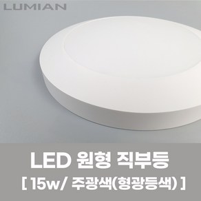 LED 직부등 15W - 국내생산 천장등 형광등 현관등 베란다등 원형직부등 주광색 형광등색LED, 1개