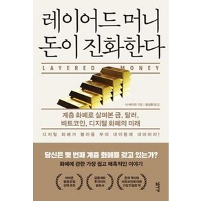 레이어드 머니 돈이 진화한다:계층 화폐로 살펴본 금 달러 비트코인 디지털 화폐의 미래