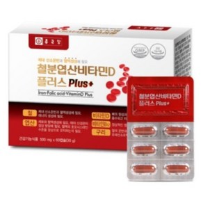 종근당 철분 엽산 비타민D 플러스 500mg x 60캡슐, 1세트