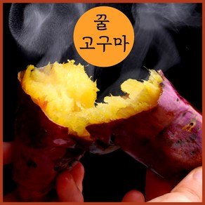 루라영 꿀고구마 토울 고구마 프리미엄 호박 밤 산지직송, 1개, 3kg(꼬마)