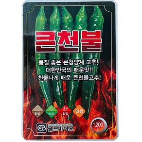 큰천불 1200립 고추씨앗 종자 큰 청양 매운맛 품종 골드 바이오 큰천불, 1개