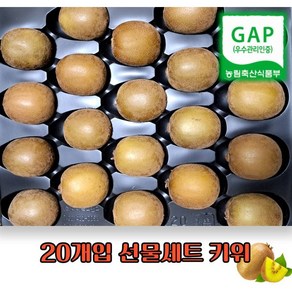 골드키위 레드키위 선물세트, 1박스, 골드키위 2.3kg(개당 115g 내외)