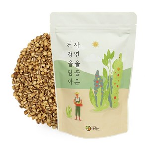 자연닮음 국산 볶은 율무차 1kg, 1개