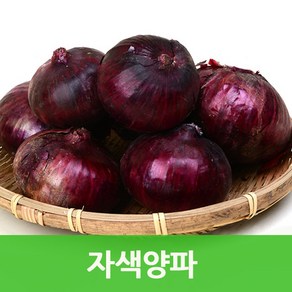 국내산 자색양파 3kg 싱싱한 햇양파 컬러푸드, 1개