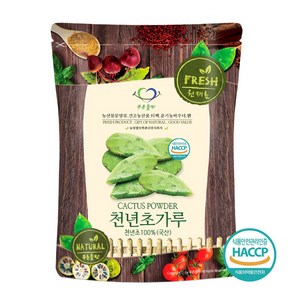 푸른들판 국내산 천년초 선인장 가루 분말 100% 손바닥선인장 줄기 HACCP 인증, 500g, 1개