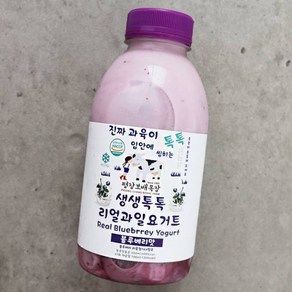 평창보배목장 블루베리맛 요거트 500ml, 1개, 1개입