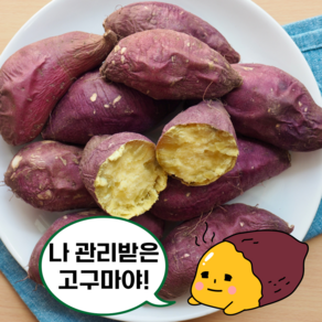 전라도 관리받고 자란 햇 황금 밤 고구마, 1개, 5kg(중소)