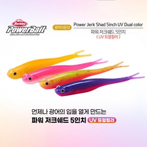 버클리 저크쉐드 5인치 UV 스페셜 광어다운샷 웜