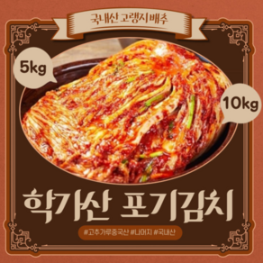 l 품담식품관 l 안동 학가산 정품 포기김치 (일반) 당일발송 l 아이스박스포함