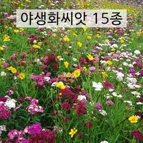 아시아종묘 씨앗 꽃 야생화 100g 혼합 15종 모음, 1개