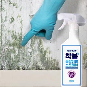 착붙 곰팡이젤 스프레이 400ml by 오로디 벽지 실리콘 화장실 베란다 텐트 창틀 곰팡이 제거