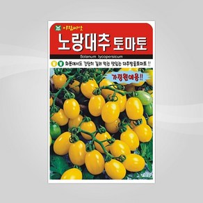 화분용 노랑대추 과일 방울 토마토 씨앗 종자 30립 _ 2022895EA, 1개