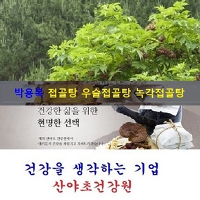 천기누설 접골목진액(35일분):70팩 딱충나무 말오줌나무 접골탕 우슬접골탕 녹각접골탕, 70개, 110ml