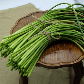 [빅토리팜] 의성 보들보들 햇마늘쫑 2kg, 500g, 1개