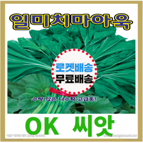 [OK씨앗] [일미치마아욱] 아욱씨앗 종자(오케이씨앗)