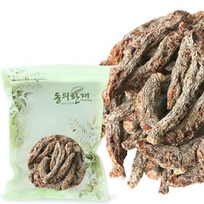 동의한재 안동 건지황 지황뿌리, 300g, 1개