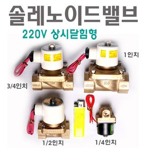 솔레노이드밸브8A/15A/20A/25A/상시닫힘형220V/엑셀배관/주름관/물호스/효신/솔밸브/solenoid valve (HDW2120), HDW2120(8A)상시닫힘형, 1개