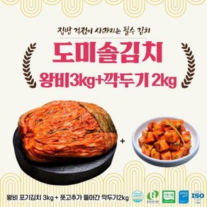 eTV 도미솔 김치 2종세트5kg (왕비포기3kg깍두기2kg)