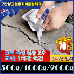 500g/1000g/2000g[10초 속건] 지붕 바닥 균열 복원 보수제 친환경 균열보수제 강력접착방수제 2개/4개/6개, (500g*4개)2000g, 1개