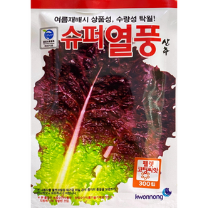 권농종묘 슈퍼열풍상추씨앗300립 여름용적치마상추, 1개