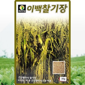 다농 이백찰기장 씨앗 30g 찰기장씨 곡물 종자, 1개