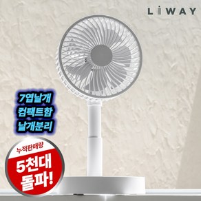 리웨이 무선 접이식 폴딩팬 탁상용 선풍기, 리웨이 탁상용선풍기
