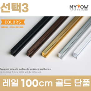 마이토우 와이어 액자걸이 레일 걸이 프리미엄 세트 50cm 100cm 액자 레일 단품 50cm 100cm 5색상 액자 걸이 4종, 선택3(100cm레일단품), 1개, 색상(골드)