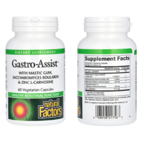 내추럴팩터스 Gasto-Assist 매스틱 검 60베지캡슐, 1개