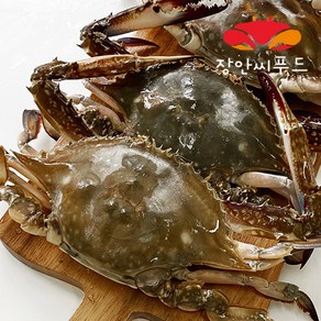 장안씨푸드 국내산 가을 햇꽃게 숫꽃게 특대 대사이즈 급냉, 3kg, 1개, 3키로(8-12마리)
