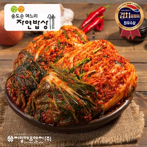 [찬들마루] 깐깐 송도순 포기김치 3kg, 1개