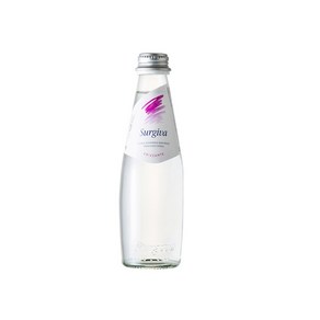 수르지바 스파클링 워터 250mlx24ea, 250ml, 24개