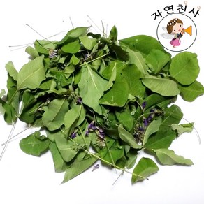 국산 전라도 야생 참 싸리나무잎 꽃100g 직접채취 깨끗한 손질 제품