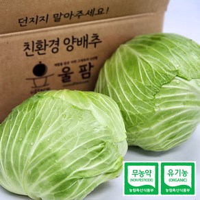 [울팜] 아삭 달달 국내산 친환경 양배추 1kg(1통) / 2kg(2통) / 3kg(2~3통) / 5kg(3~5통) 무농약 유기농 제주 무안 밀양, 1박스, 3kg