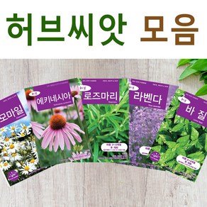 살아있는 허브 씨앗 모음 허브씨 로즈마리 레몬밤 바질 딜 카모마일 라벤다 민트 타임 마조람 세이지 챠빌 코리안더 고수 루 히솝 스테비아 차이브 에키네시아 야생 종자