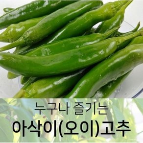 누구나 즐기는 아삭이(오이)고추 상 3kg, 1개