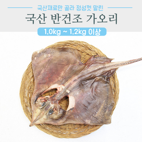 반건조생선 가오리 국산 1마리, 가오리 1마리 0.9~1kg 38cm내외, 1개