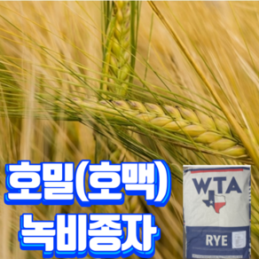 호밀 종자 20kg 1포대 - 종묘 종자, 1개