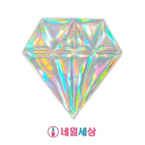 네일세상 프리즘 다이아몬드 브러쉬 케이스, 1개