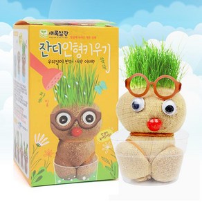 잔디 인형 키우기(못나니) 잔디 키우기 식물 재배 키트, 단품